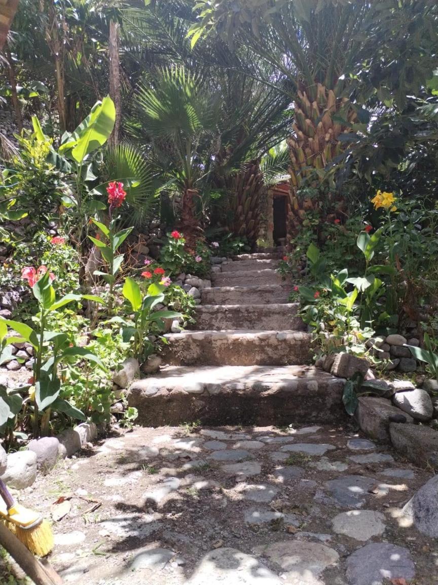 Eden Lodge กาบานากอนเด ภายนอก รูปภาพ